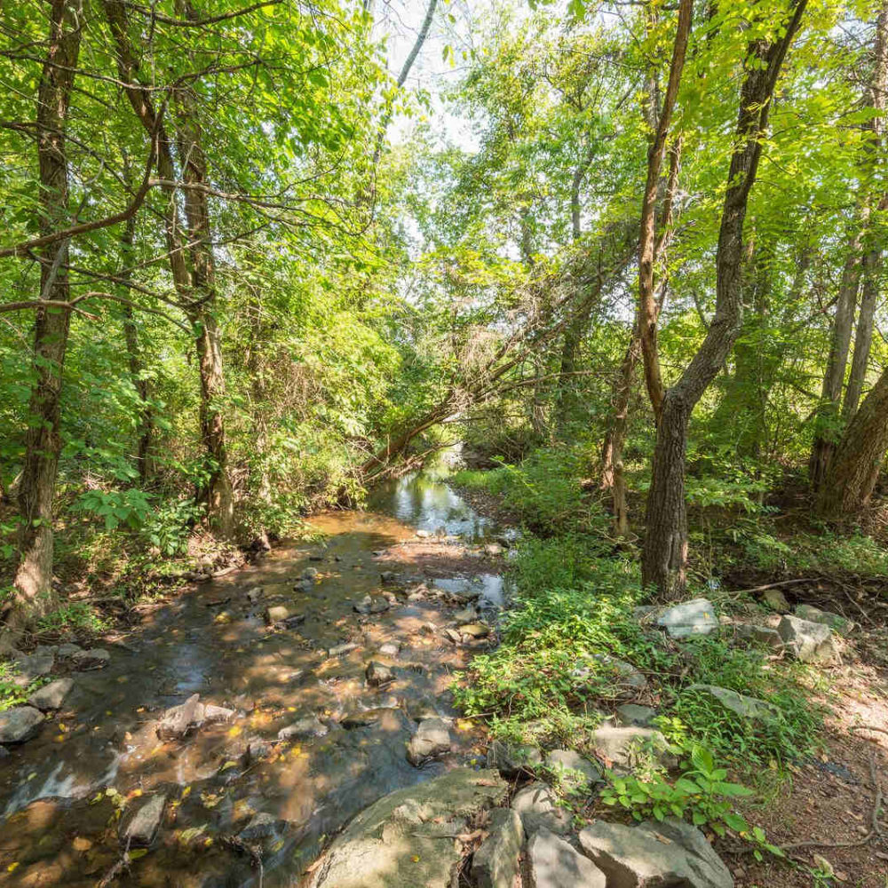 Home page of Carisbrooke HOA in Ashburn Virginia Carisbrooke