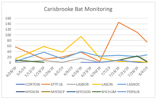 Carisbrooke Bat Monitoring